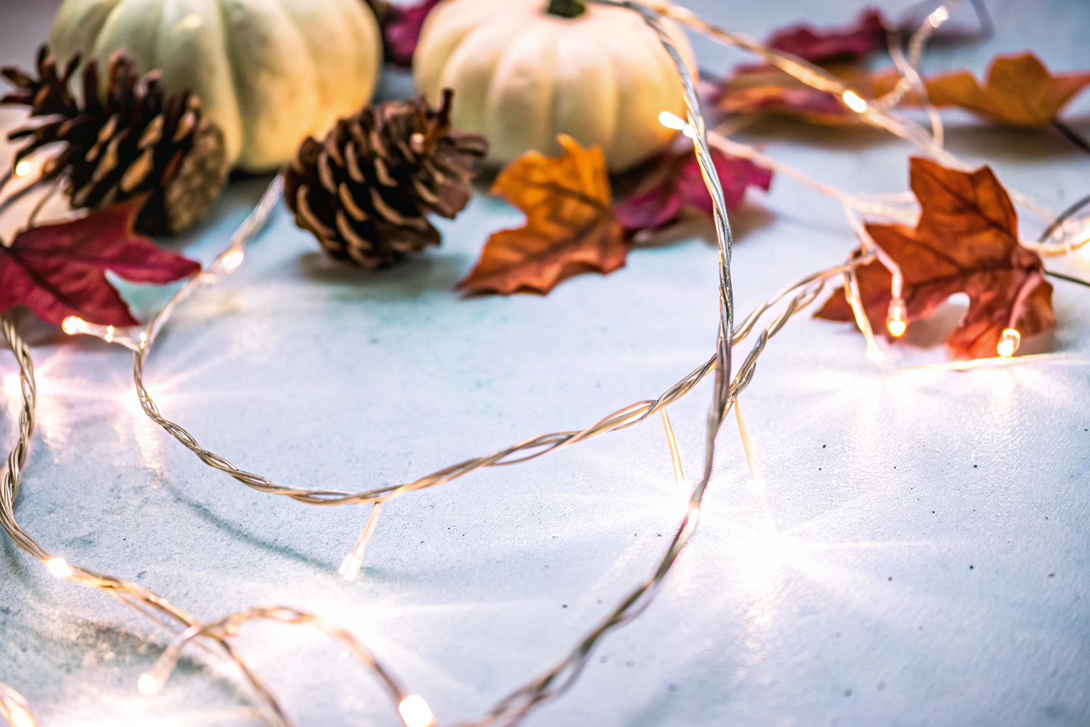Detailaufnahme einer Lichterkette im Herbstambiente. Herbstliche Lichterkette