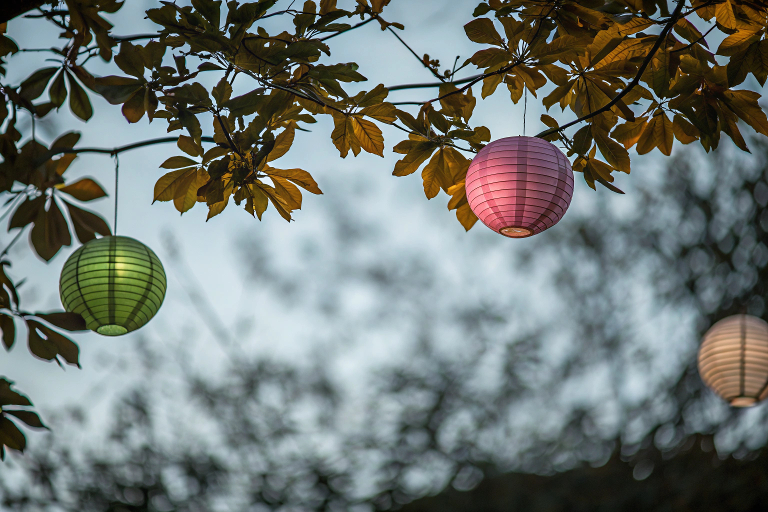 Grüne und rosa Lampions im Garten
