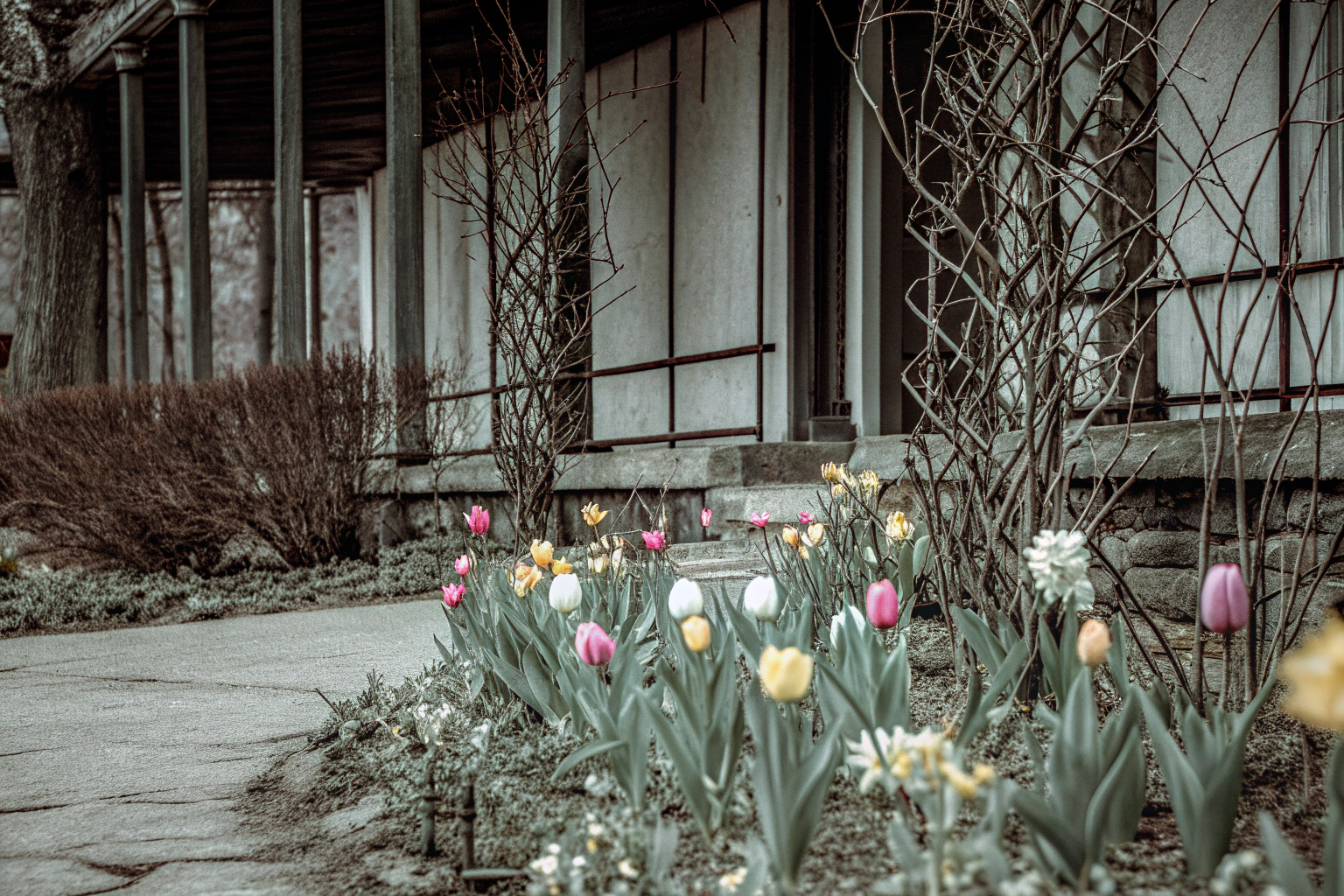 Ein Frühlingsgarten mit unterschiedlichen Pflanzen und Strukturen. Optimal genutzter Frühlingsgarten