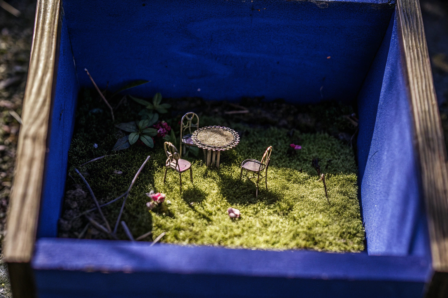 Ein Miniaturgarten mit kleinen Möbelstücken und Pflanzen, der in einem Holzrahmen eingefasst ist. Miniaturgarten mit DIY-Möbeln