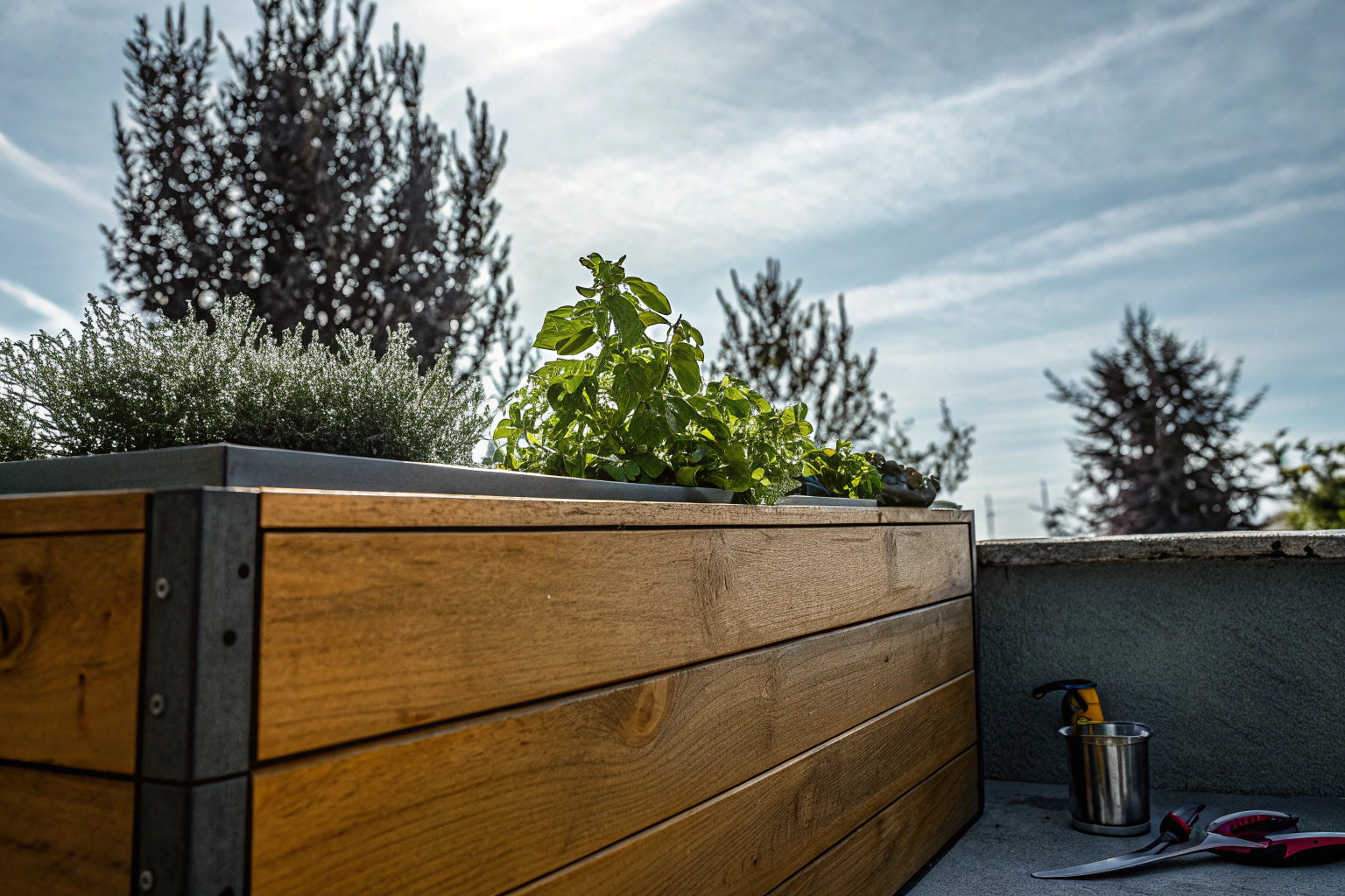 Ein selbstgebautes Hochbeet aus Holz, das mit frischen Kräutern bepflanzt ist. Selbstgebautes Hochbeet aus Holz