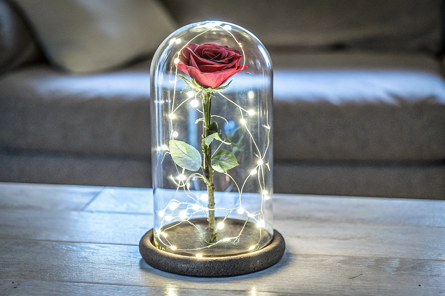 Eine ewige Rose in einem Glasgehäuse, umgeben von LED-Lichtern, die eine warme Atmosphäre schaffen. Ewige Rose im Glas