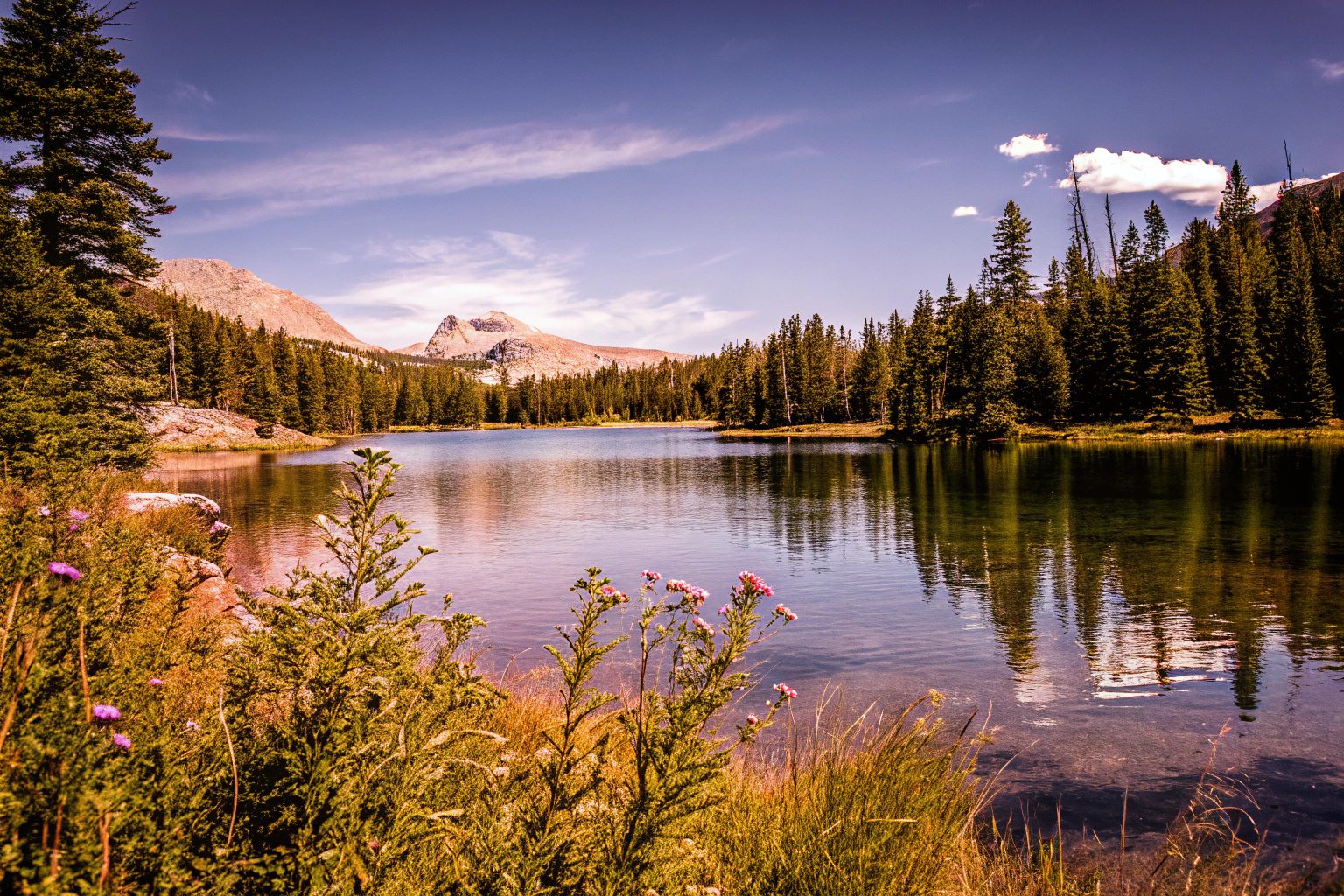 Eine idyllische Landschaft mit einem klaren See, umgeben von grünen Wäldern und Bergen, die zu einem nachhaltigen Urlaub inspirieren. Naturlandschaft für nachhaltigen Urlaub