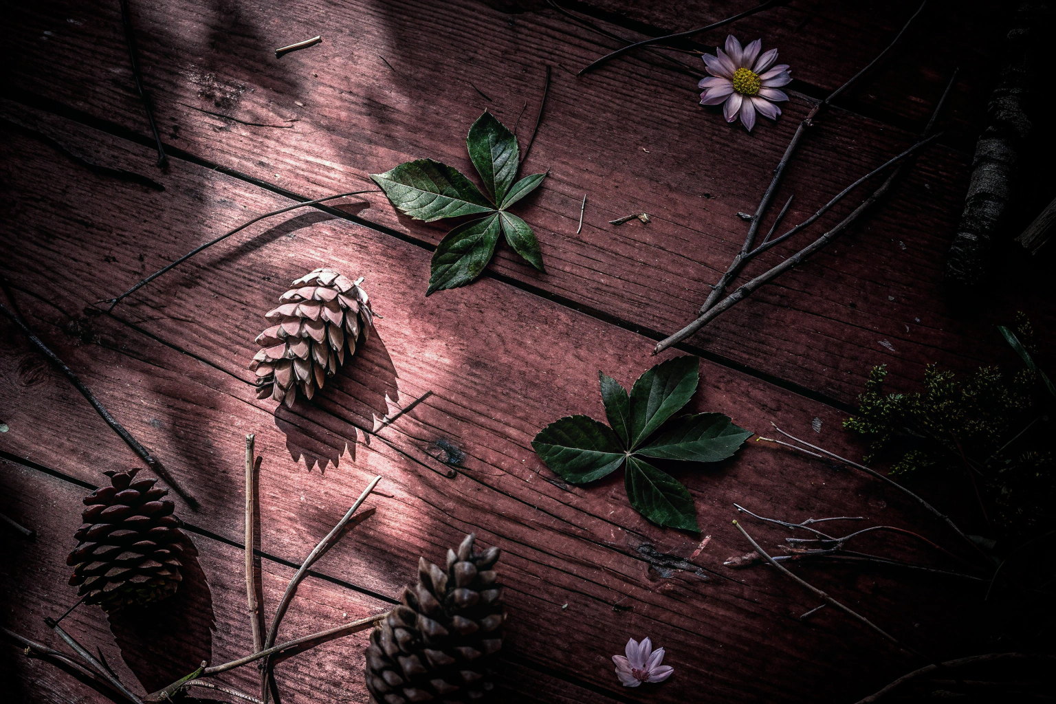 Naturmaterialien zum Basteln