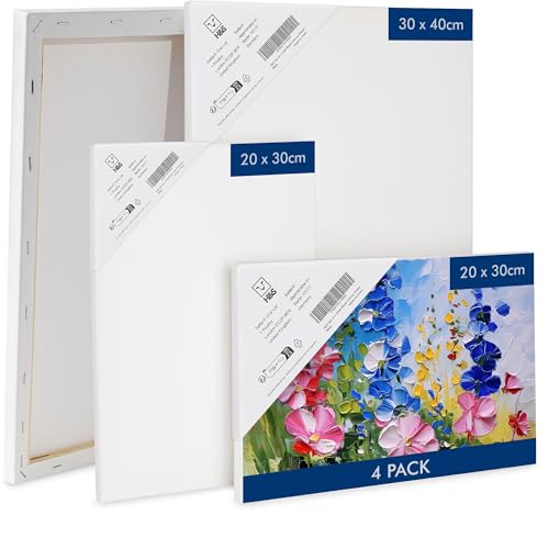 H&S 4x Leinwand zum Bemalen