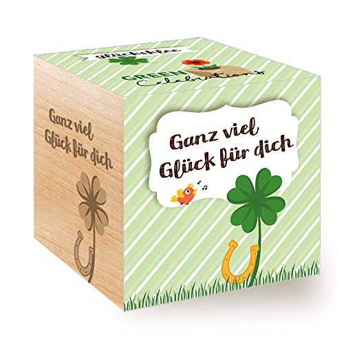 Feel Green Ecocube Glücksklee