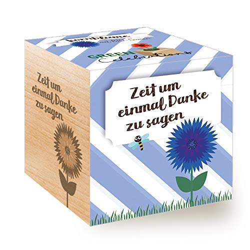 Feel Green 296695 Celebrations Ecocube, Kornblume