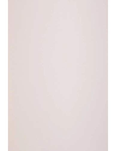 Netuno 10x Pastell Pink Feinkarton DIN A4