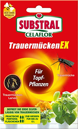 Substral Celaflor TrauermückenEX