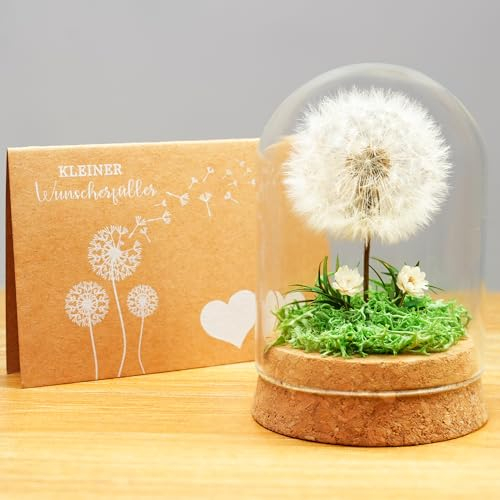 Yobeyo Wunscherfüller Pusteblume im Glas