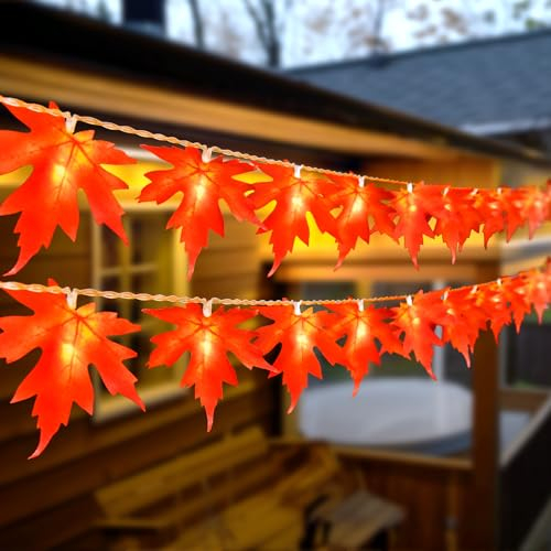 BOLWEO Herbst Lichterkette