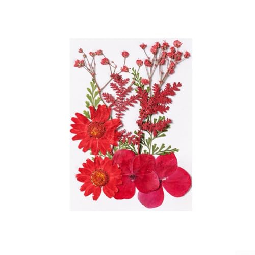 Oniissy Handgefertigtes Trockenblumen-DIY-Set