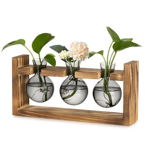 Glasseam Pflanzen Propagation Station