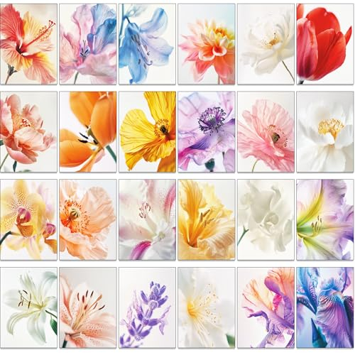 the lazy panda card company 30 Makro-Nahaufnahmen von Blumen