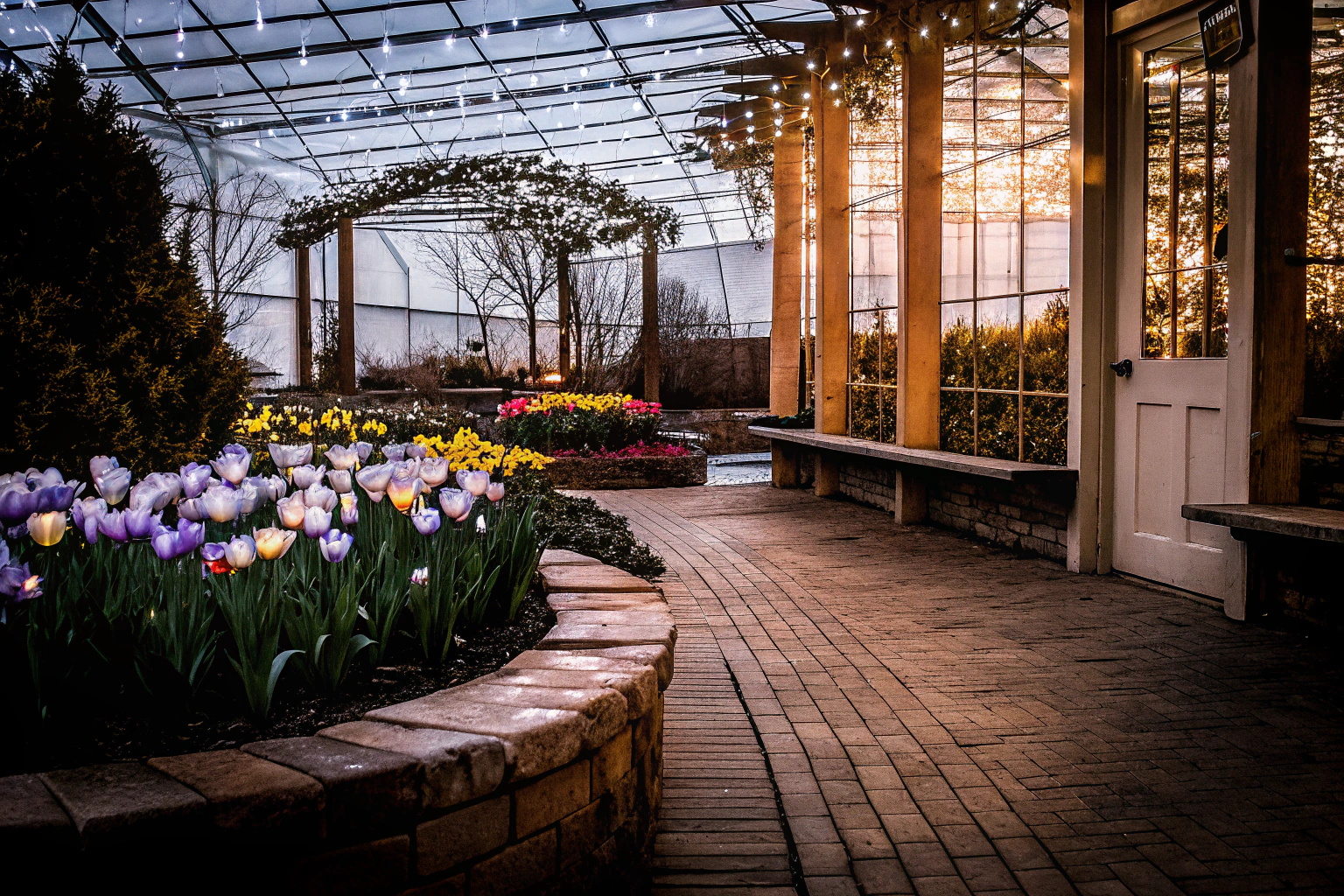 Solarbetriebene Lichterketten, die einen Garten erleuchten. Solarlichter im Garten
