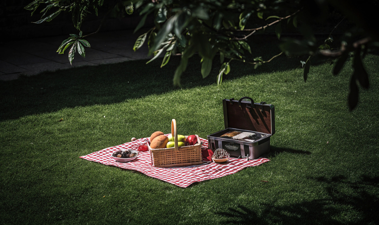 Die besten Tipps f9191r ein gelungenes Picknick