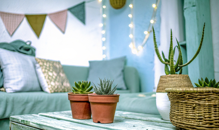 DIY: Nachhaltige Deko für Dein Zuhause – Kreative Ideen und Tipps
